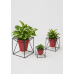 Supporto porta vaso in filo metallico - CUBE Supporto porta vaso in filo metallico - CUBE